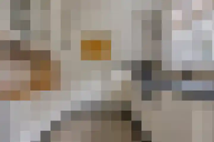 Julianalaan 9 Oosterhout thumbnail 17