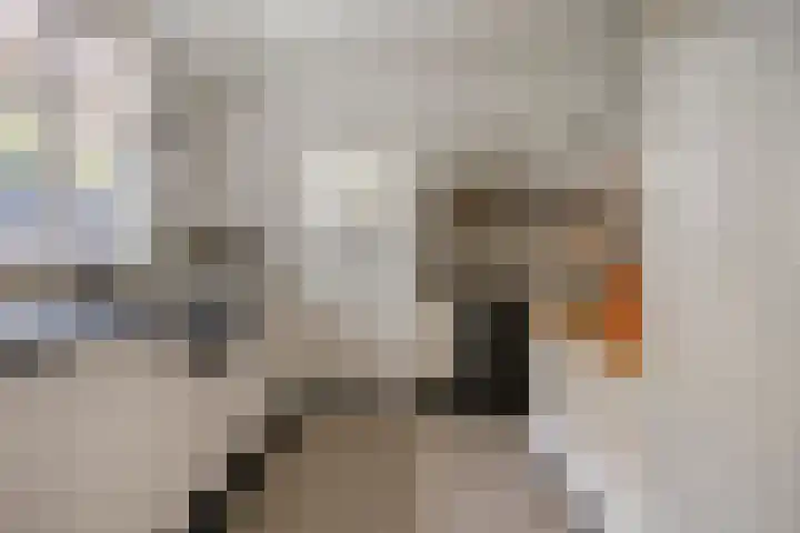 Julianalaan 9 Oosterhout thumbnail 19