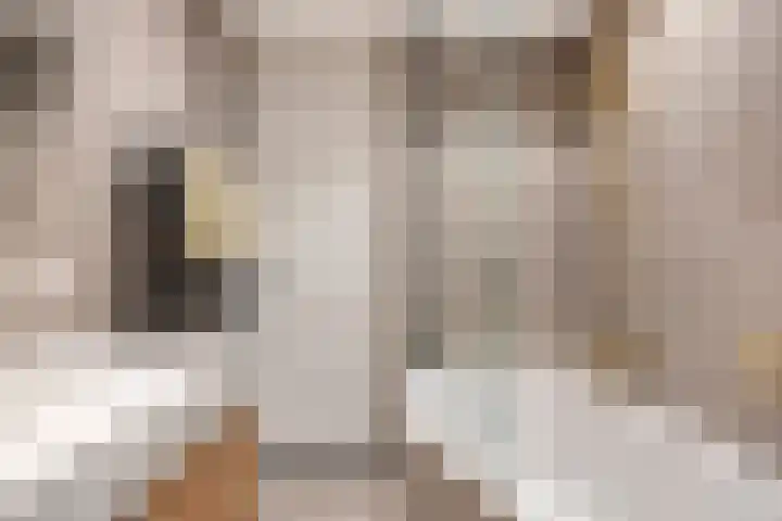 Julianalaan 9 Oosterhout thumbnail 25