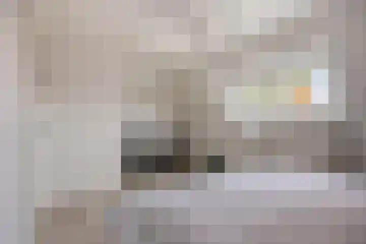 Julianalaan 9 Oosterhout thumbnail 27
