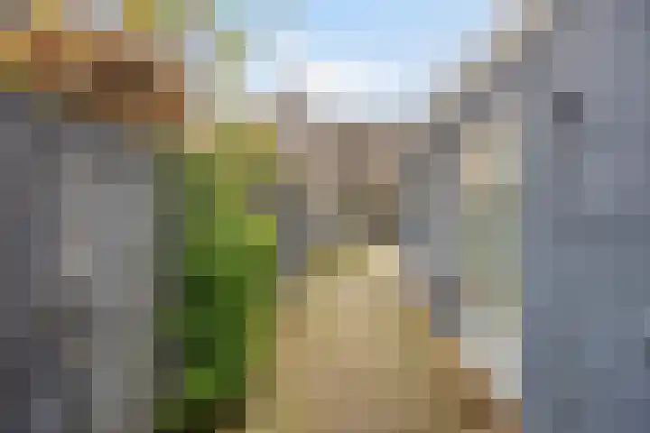 Julianalaan 9 Oosterhout thumbnail 31
