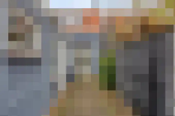 Julianalaan 9 Oosterhout thumbnail 32