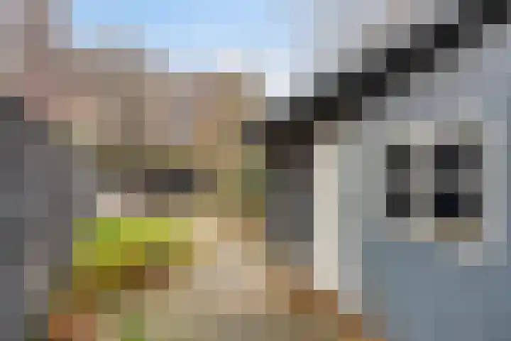 Julianalaan 9 Oosterhout thumbnail 33