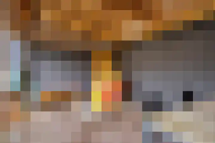 Julianalaan 9 Oosterhout thumbnail 35