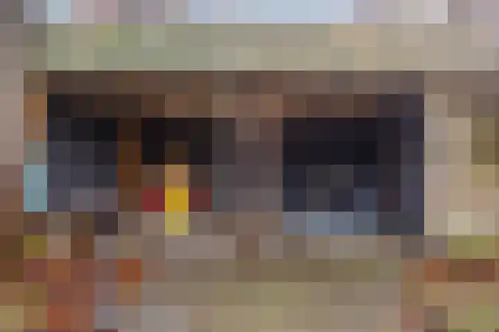 Julianalaan 9 Oosterhout thumbnail 36