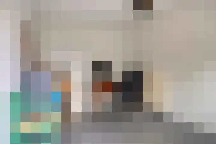 Julianalaan 9 Oosterhout thumbnail 37