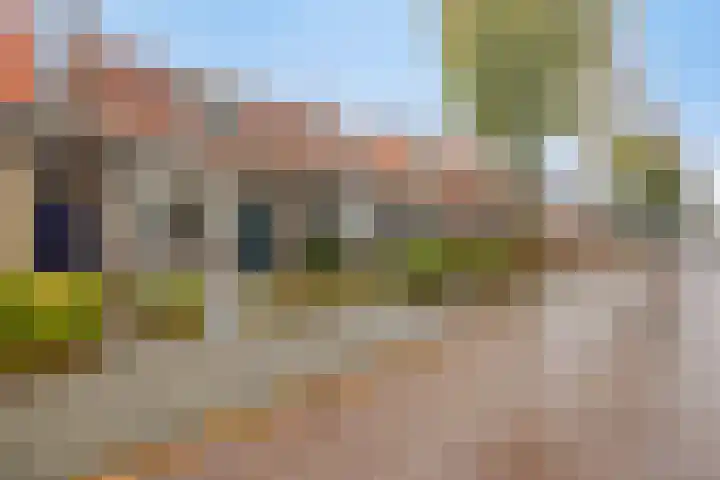 Julianalaan 9 Oosterhout thumbnail 41