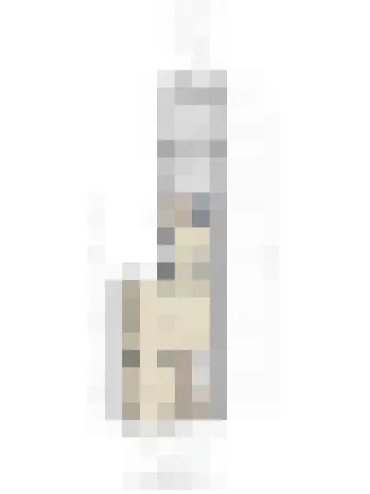 Julianalaan 9 Oosterhout thumbnail 44
