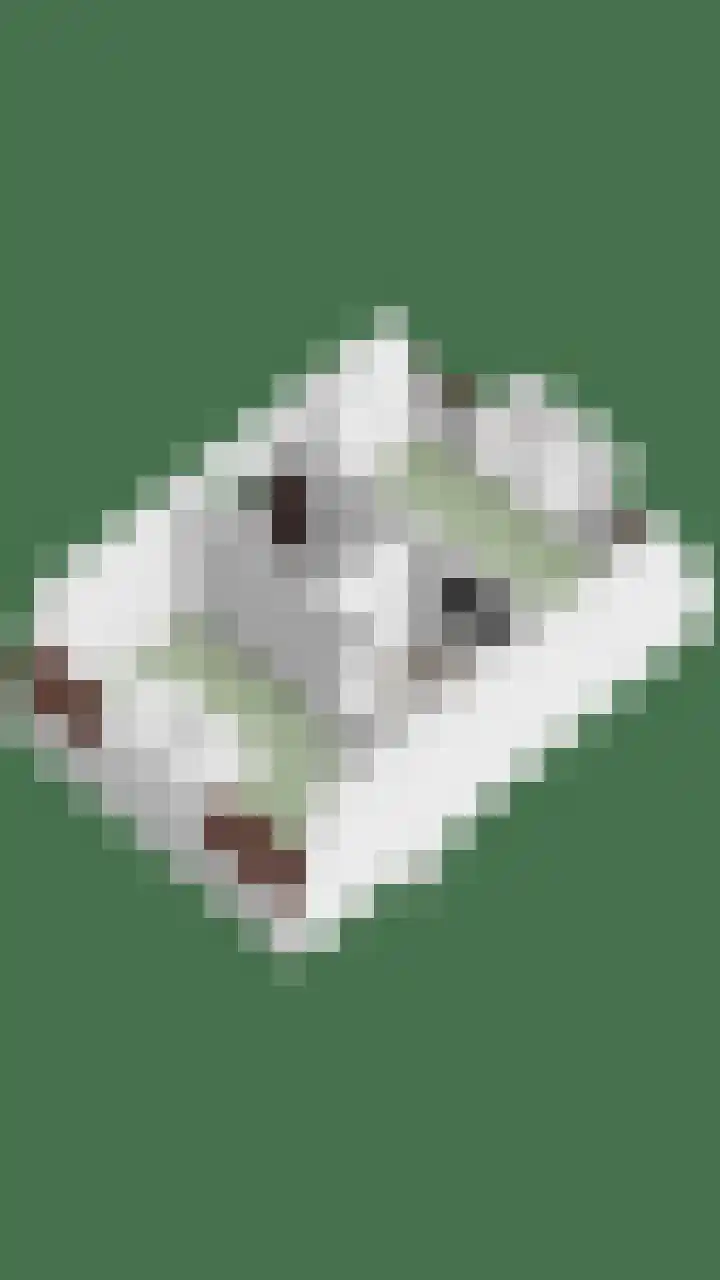 Julianalaan 9 Oosterhout thumbnail 49