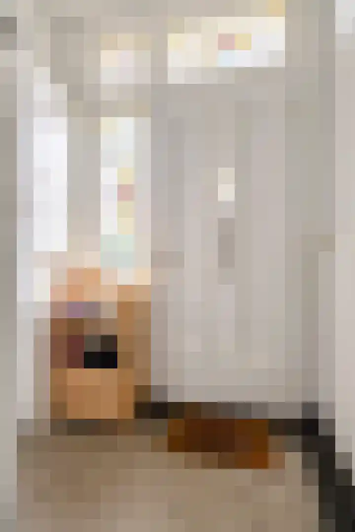 Julianalaan 9 Oosterhout thumbnail 6