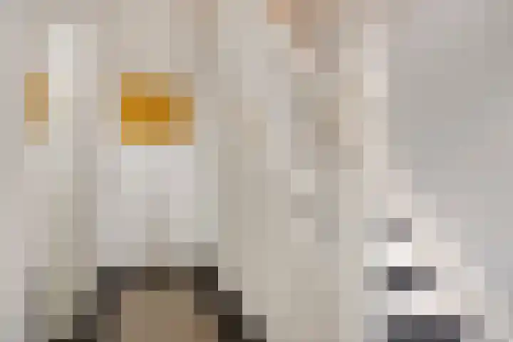 Julianalaan 9 Oosterhout thumbnail 7