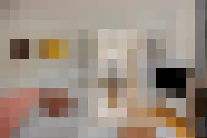 Julianalaan 9 Oosterhout thumbnail 9