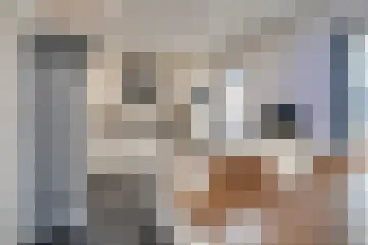 Julianalaan 9 Posterholt thumbnail 18