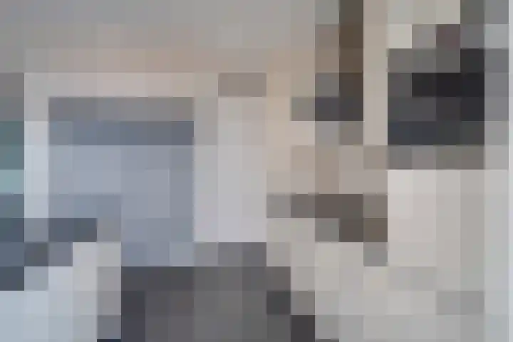 Julianalaan 9 Posterholt thumbnail 22