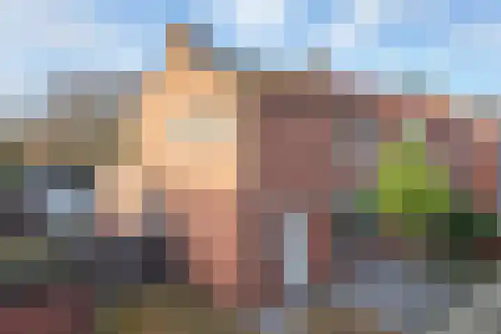 Julianalaan 9 Posterholt thumbnail 6