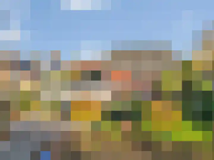 Julianalaan 9 Zwaag