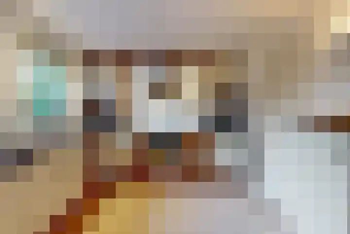 Julianalaan 9 Zwaag thumbnail 10