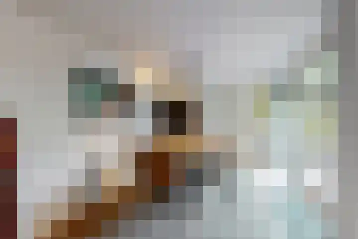 Julianalaan 9 Zwaag thumbnail 12
