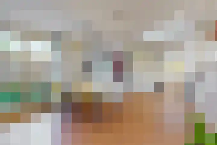Julianalaan 9 Zwaag thumbnail 19