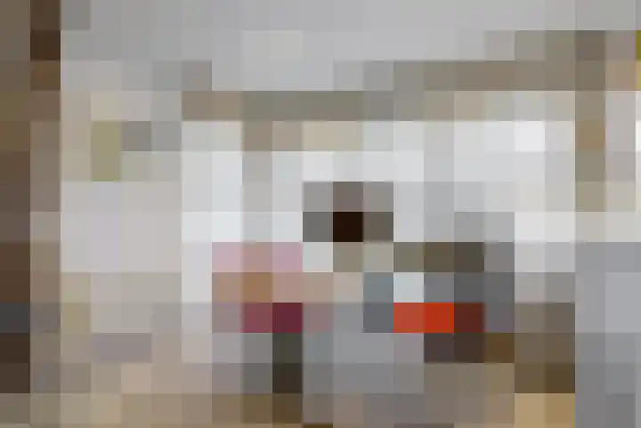 Julianalaan 9 Zwaag thumbnail 24