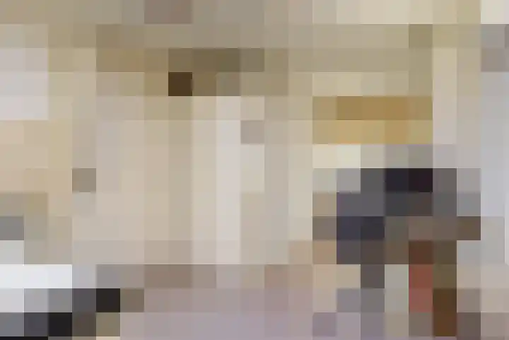 Julianalaan 9 Zwaag thumbnail 26