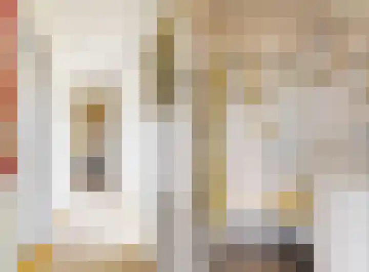Julianalaan 9 Zwaag thumbnail 33