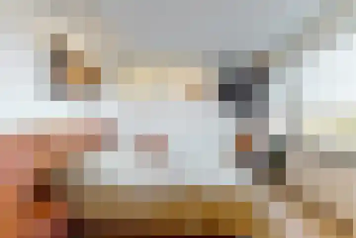 Julianalaan 9 Zwaag thumbnail 34