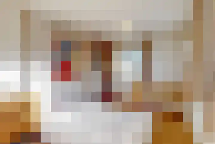 Julianalaan 9 Zwaag thumbnail 37