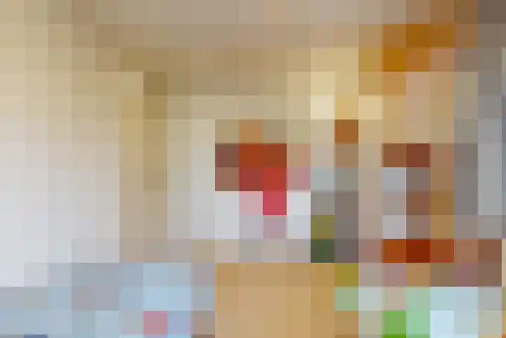 Julianalaan 9 Zwaag thumbnail 39