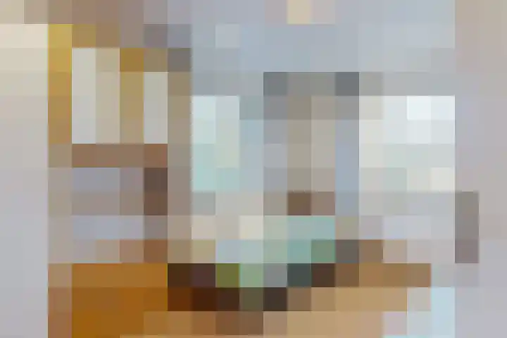 Julianalaan 9 Zwaag thumbnail 40