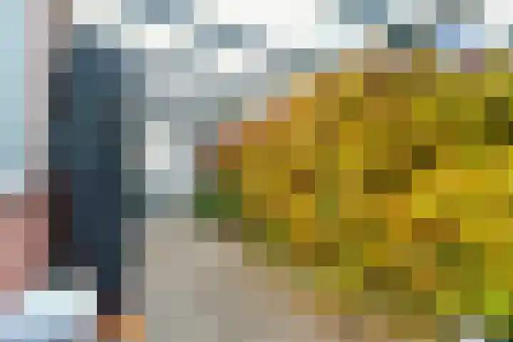 Julianalaan 9 Zwaag thumbnail 48