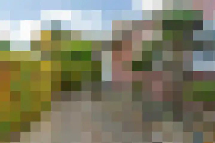 Julianalaan 9 Zwaag thumbnail 49