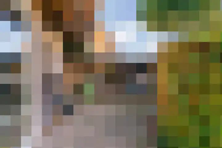 Julianalaan 9 Zwaag thumbnail 50