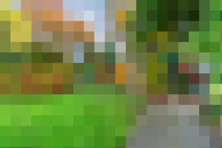 Julianalaan 9 Zwaag thumbnail 51