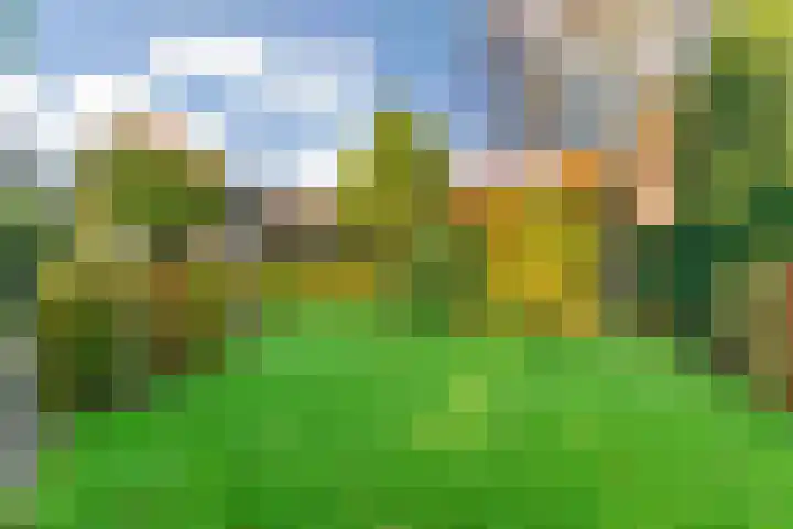 Julianalaan 9 Zwaag thumbnail 52