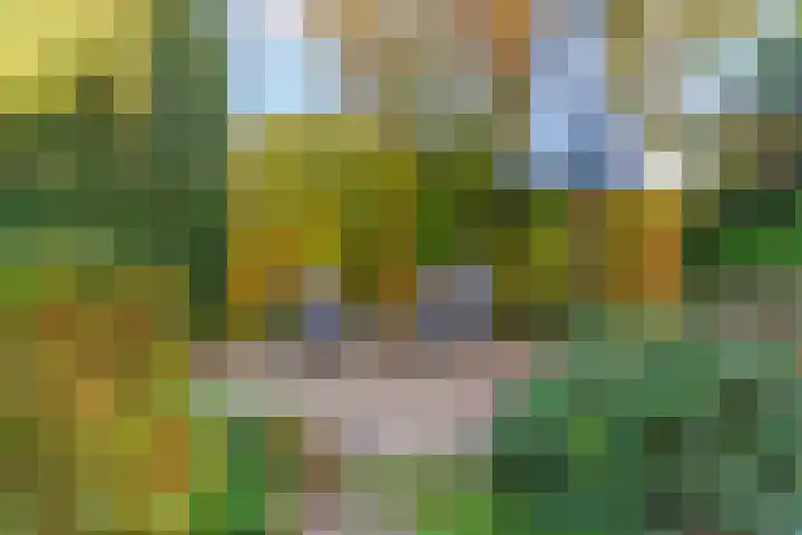Julianalaan 9 Zwaag thumbnail 53