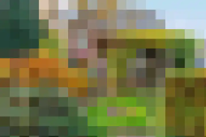 Julianalaan 9 Zwaag thumbnail 54