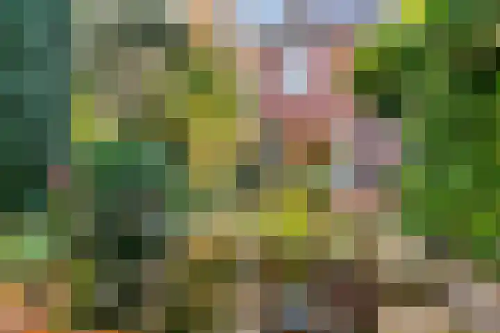 Julianalaan 9 Zwaag thumbnail 55