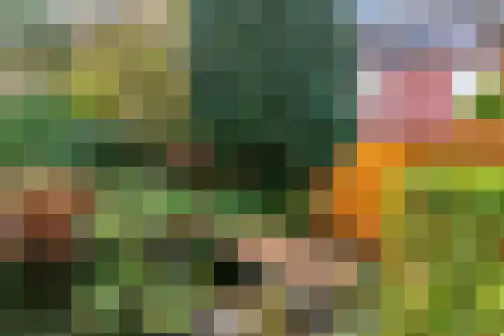 Julianalaan 9 Zwaag thumbnail 56