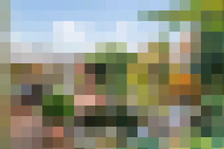 Julianalaan 9 Zwaag thumbnail 57