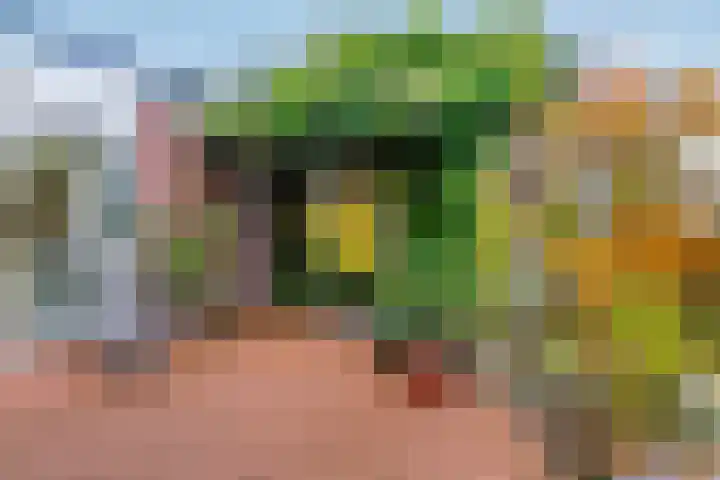 Julianalaan 9 Zwaag thumbnail 58