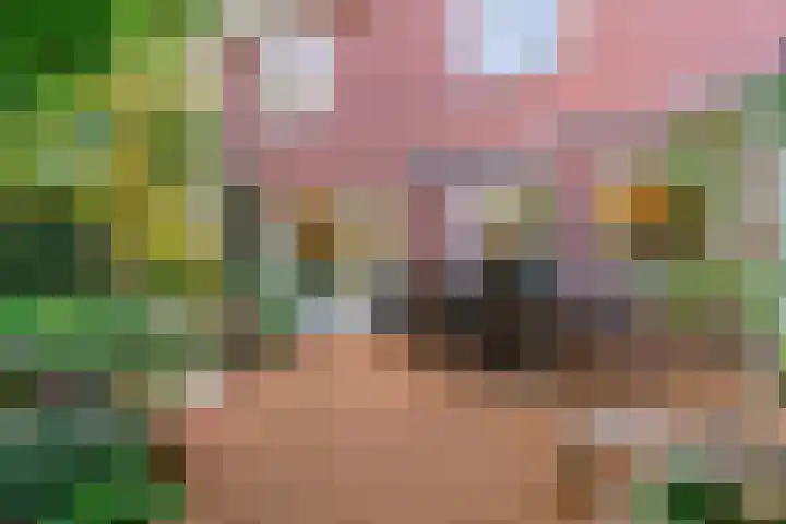 Julianalaan 9 Zwaag thumbnail 59