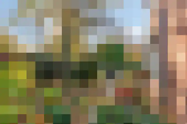 Julianalaan 9 Zwaag thumbnail 60
