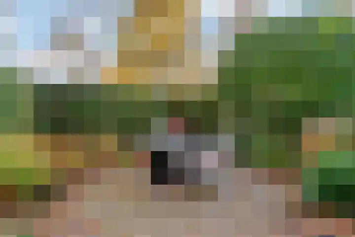 Julianalaan 9 Zwaag thumbnail 61