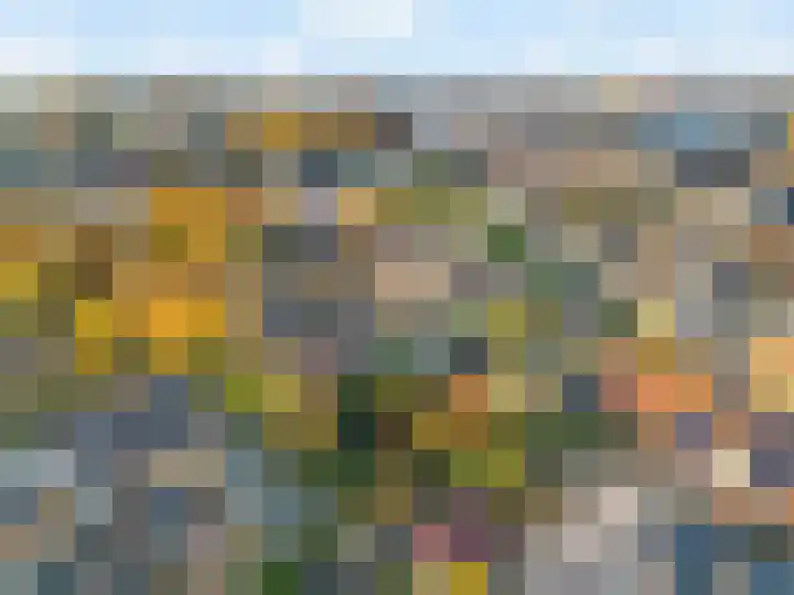 Julianalaan 9 Zwaag thumbnail 64