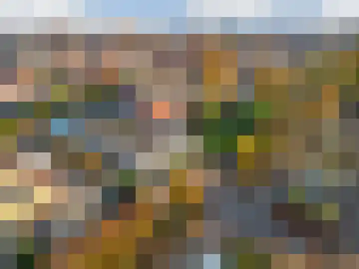 Julianalaan 9 Zwaag thumbnail 65