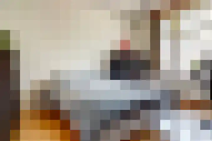 Julianalaan 90 Delft thumbnail 19