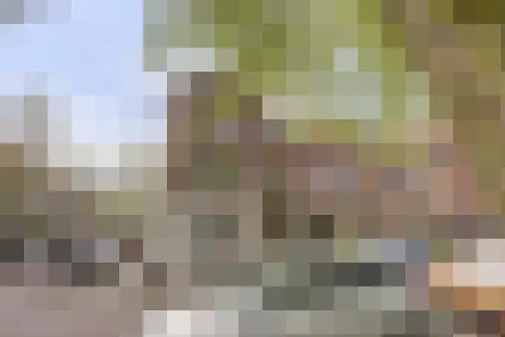 Julianalaan 90 Delft thumbnail 38