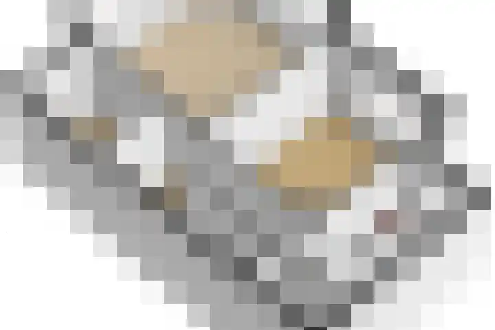 Julianalaan 90 Delft thumbnail 42
