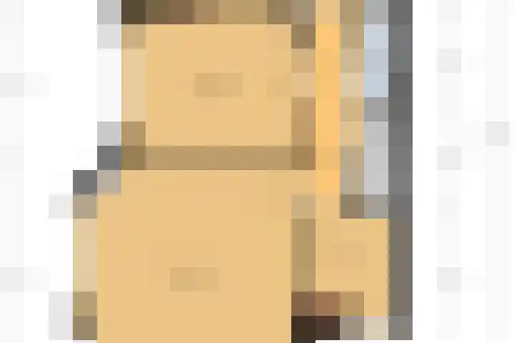 Julianalaan 90 Delft thumbnail 43